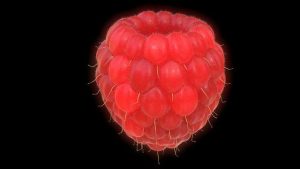 Red Raspberry Leaf Tea: A Breastfeeding Superfood?