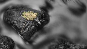 The Miles Circuit: How Effective is This Labor Induction Method? 3 The Miles Circuit: How Effective is This Labor Induction Method?