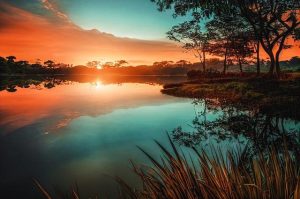 Soothing Teethers for Breastfed Babies: A Mom’s Best Friend