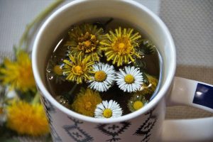 Parasite Cleanse Safety While Breastfeeding: What to Avoid