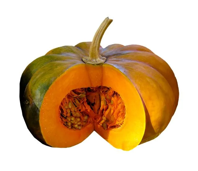 Pumpkin Seeds: The Nutrient-Rich Snack for Boosting Breastmilk Supply