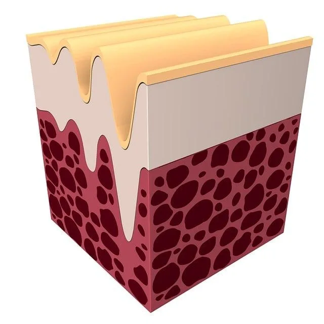 - Importance of Collagen Peptides for Skin Elasticity